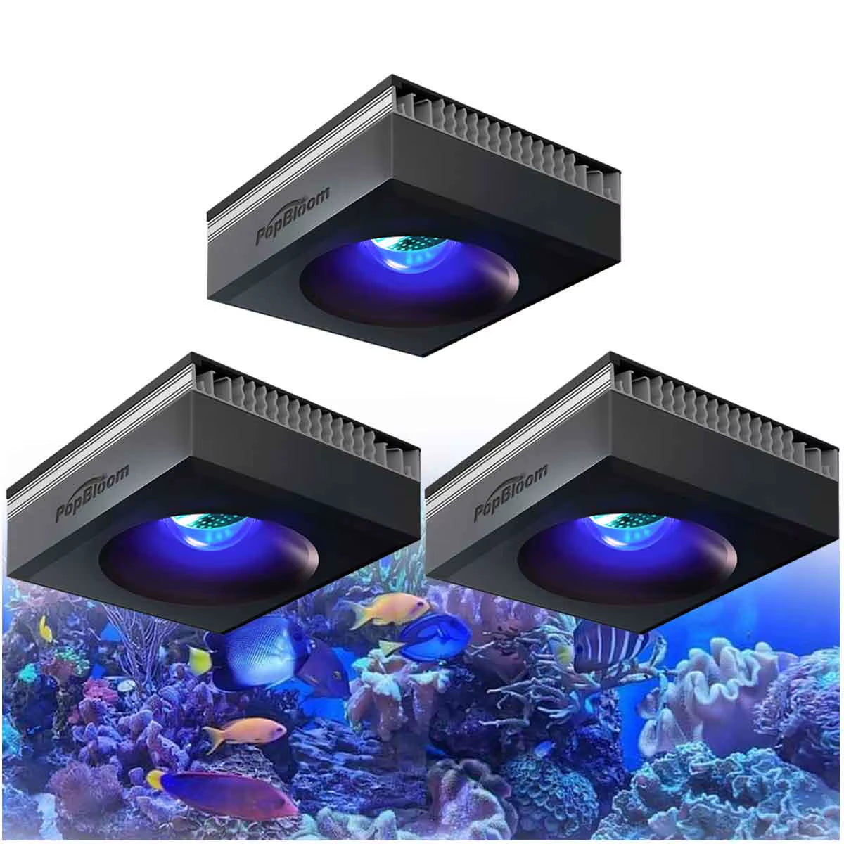 Popbloom RL90 Wifi Reef Aquarium Light 100W, Professional Marine Aquarium LED Full Spectrum for Reef Coral SPS/LPS Fish Tank LED