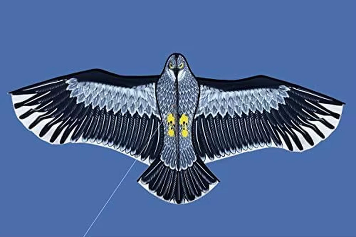 New Outdoor Fun Sports Huge 185Cm Eagle Kite with Handle Line Novelty Toy Kites for Adult /Kids Large Good Flying