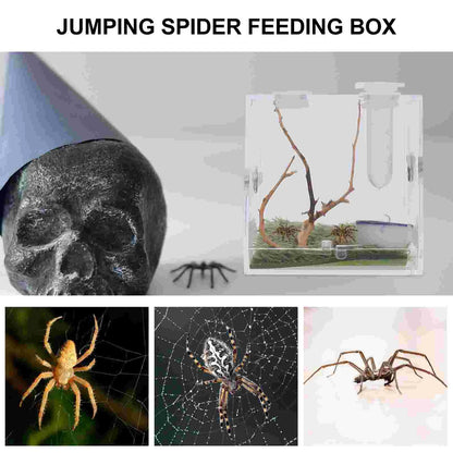 2 Set Acrylic Terrarium Container Jumping Spider Habitat Box Reptile Insect Enclosure Pet Landscape Snail Beetle Spiderling