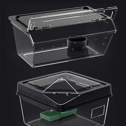 Reptile Habitat Terrarium Breeding Box Transparent Acrylic Anti-Escape Feeding Box with Thermometer for Lizard Scorpion Spider