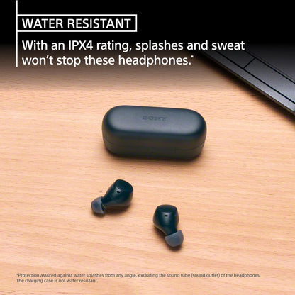 Sony WF-C510 Truly Wireless Earbuds with 22-Hour Battery, IPX4, Multipoint,Bla