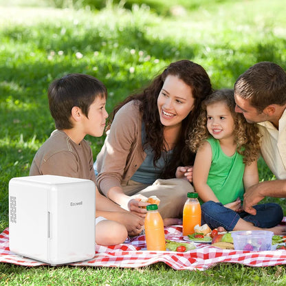 Mini Fridge for Bedroom 4L/6 Can Skincare Fridge AC/DC Portable Compact Small Refrigerator for Office Dorm Car Desk for Skin Care Makeup Cosmetic
