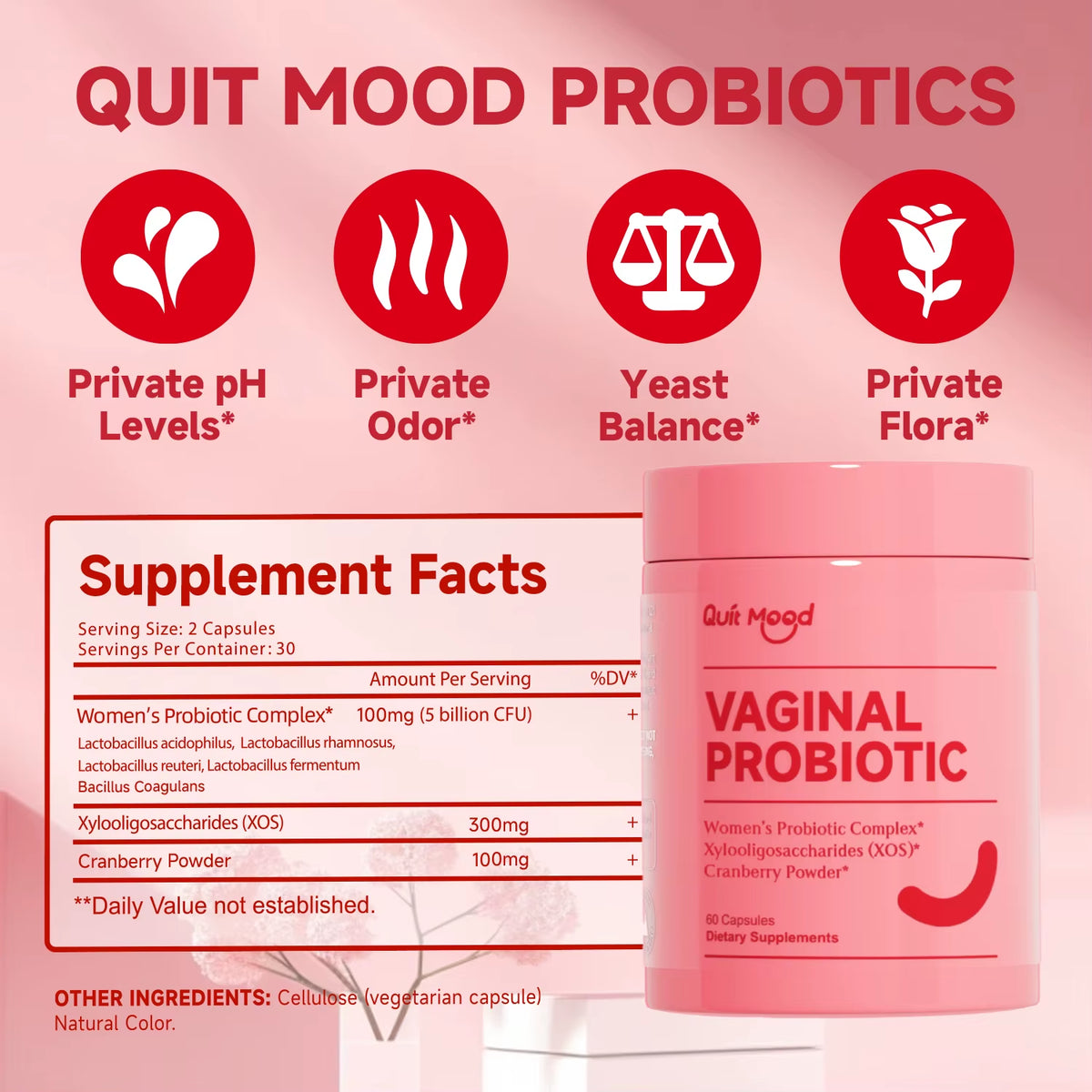 Quit Mood Probiotics for Women - PH Balance and Lactobacillus Probiotic Blend for Women's Health Support