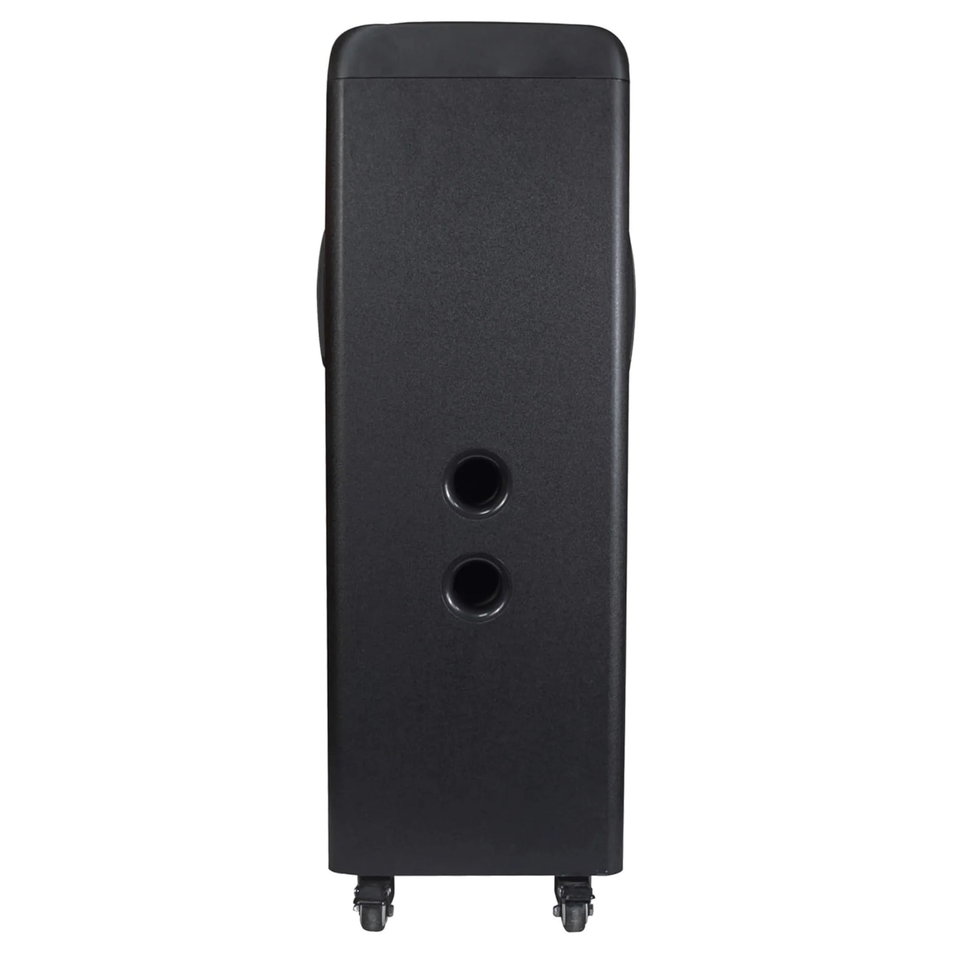 IQ Sound Torusflex 2X10-Inch Portable Bluetooth DJ Speaker