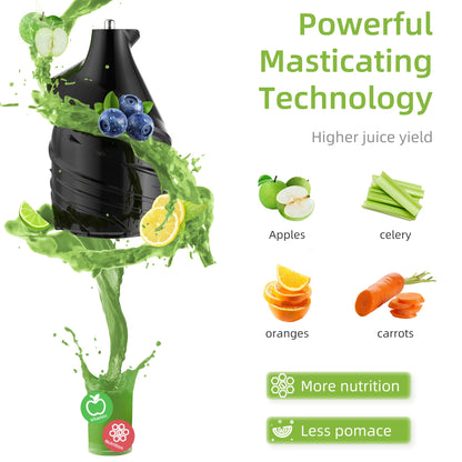 Biolomix Cold Press Juicer with 75mm Feed Chute, 200W Motor, 40-65 RPM Slow Masticating Juice Extractor for Whole Fruits