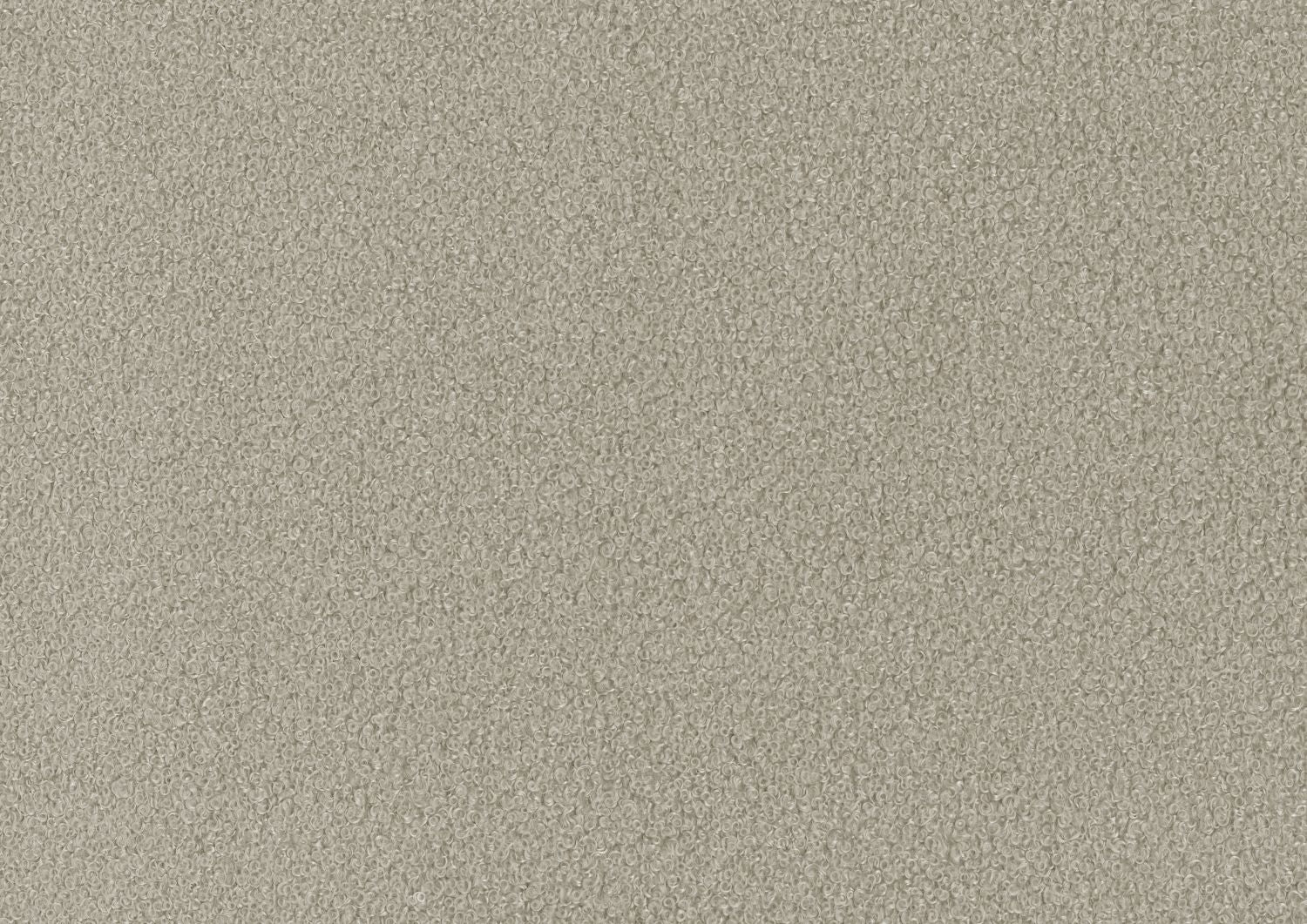 528859021