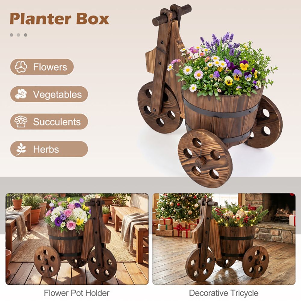 556253781