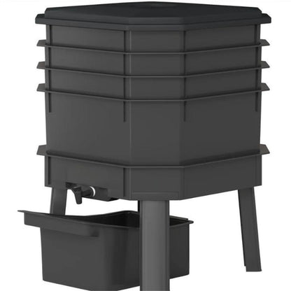 556590311