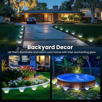 556407901