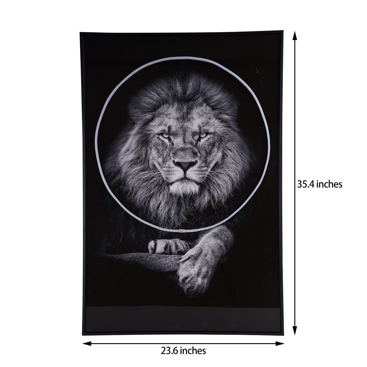 484460501