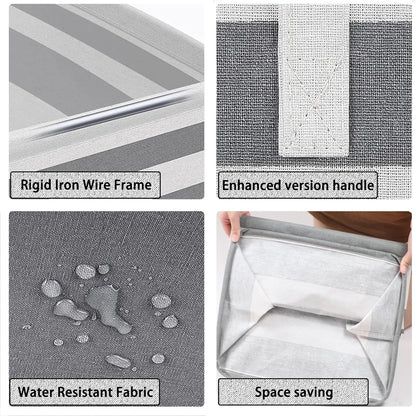556584881