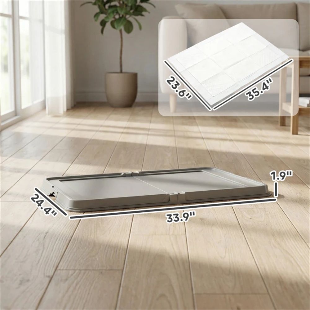 556398211