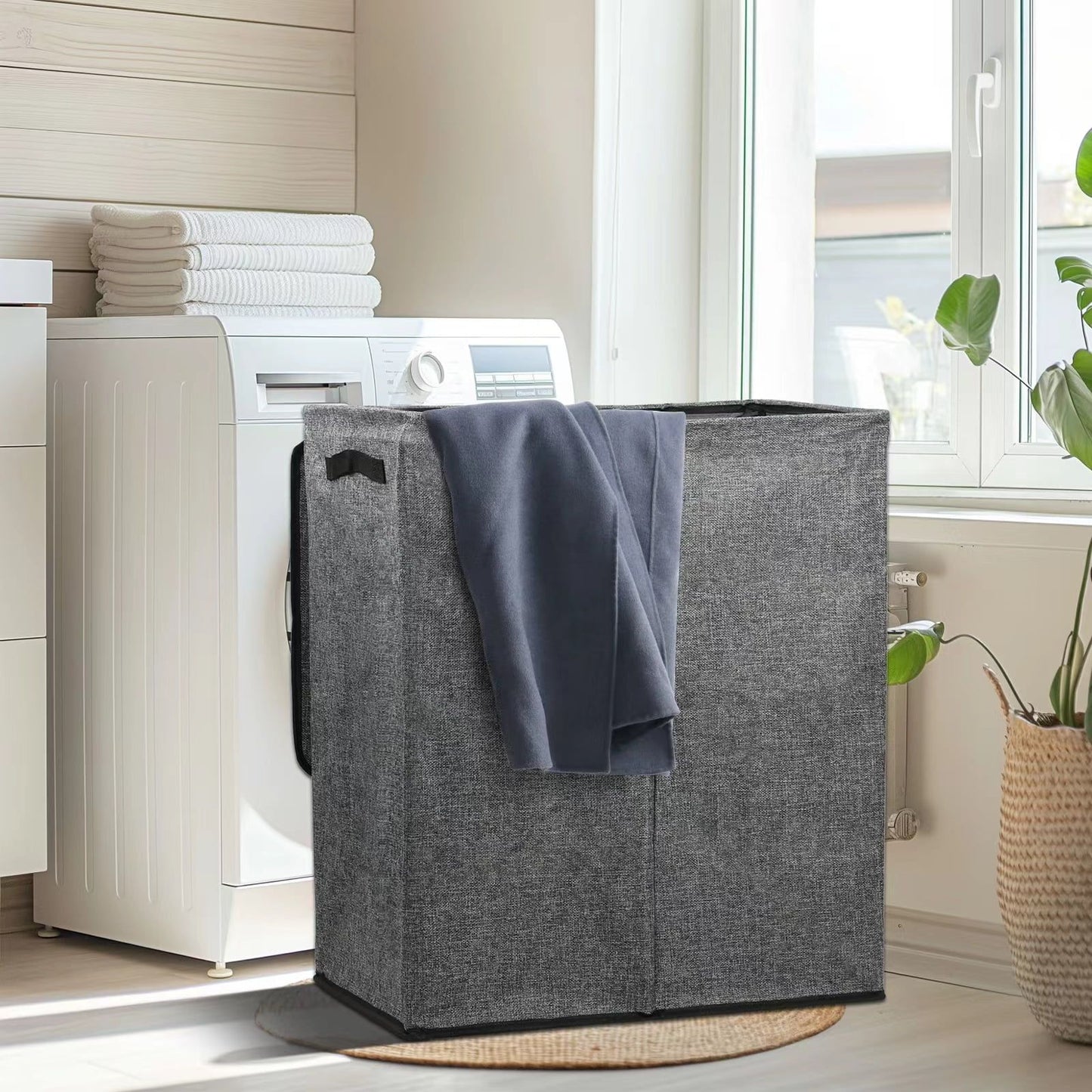 556196251
