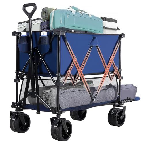 556560991