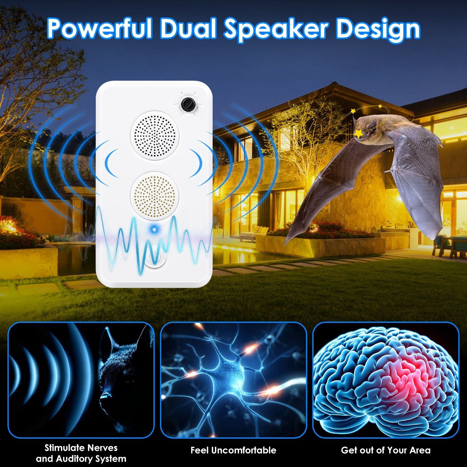 508422651