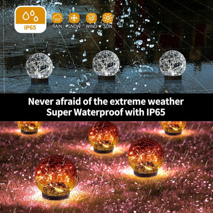 556409831
