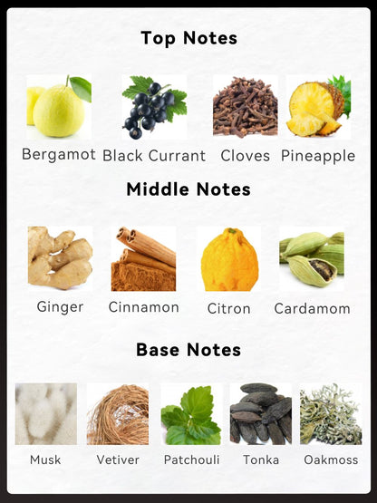 516506241