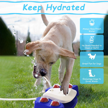 528902571