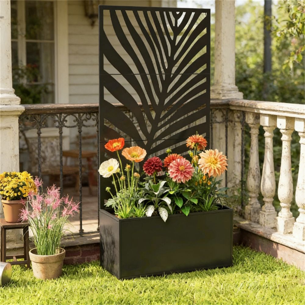 556589241