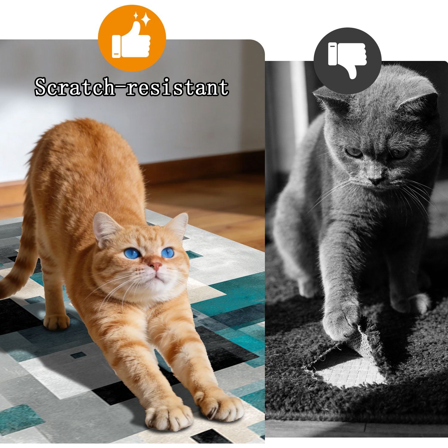 556280901