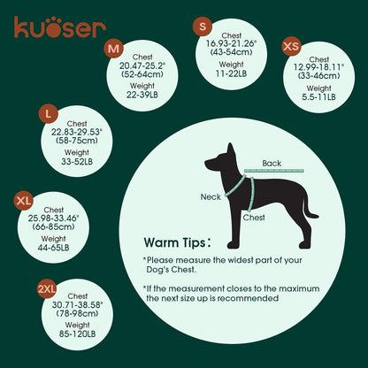 528992041