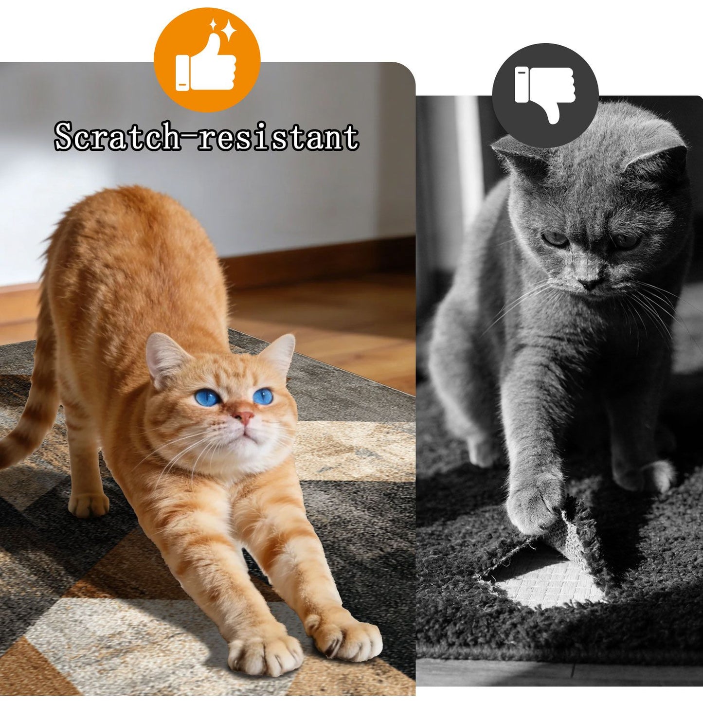 556281021