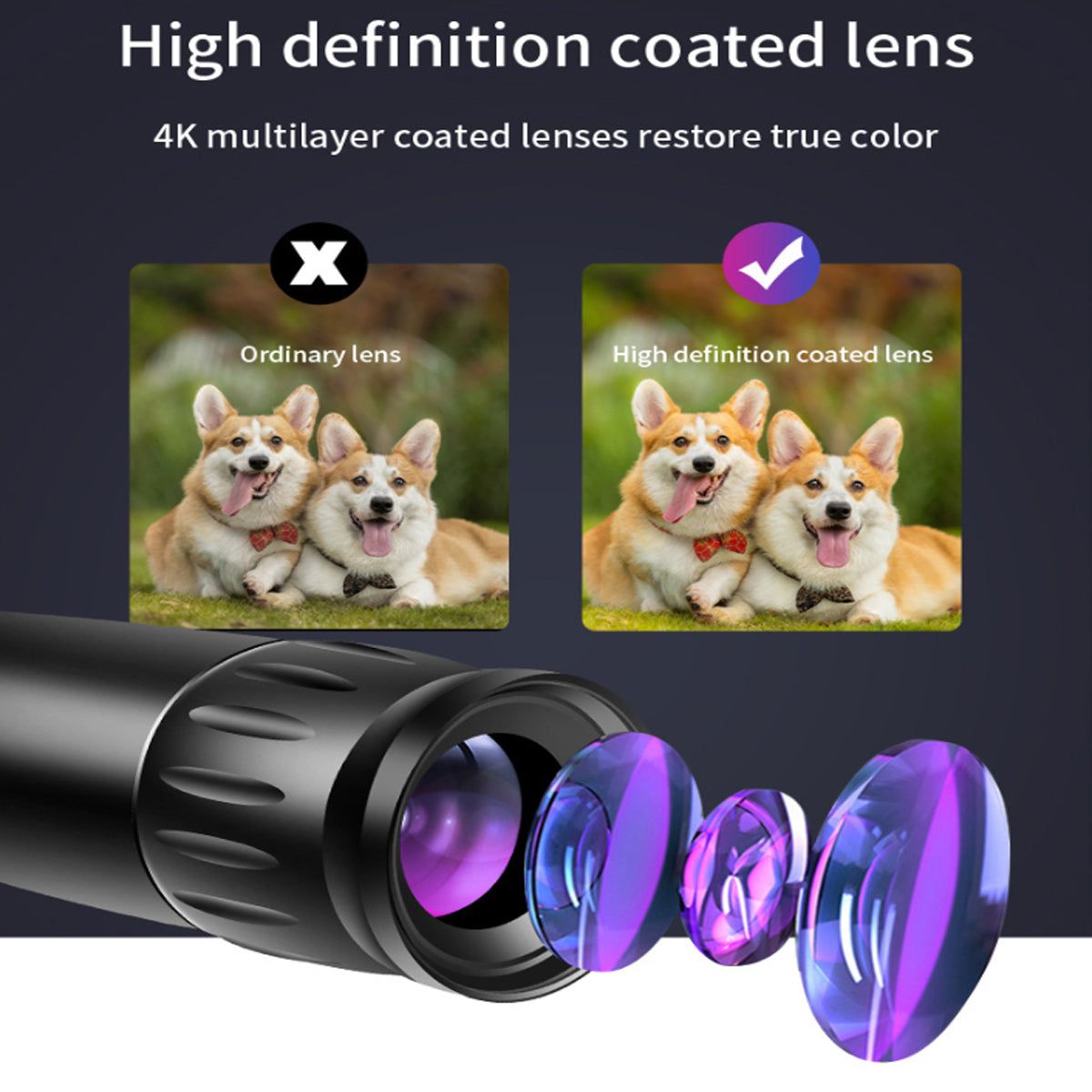 529389351
