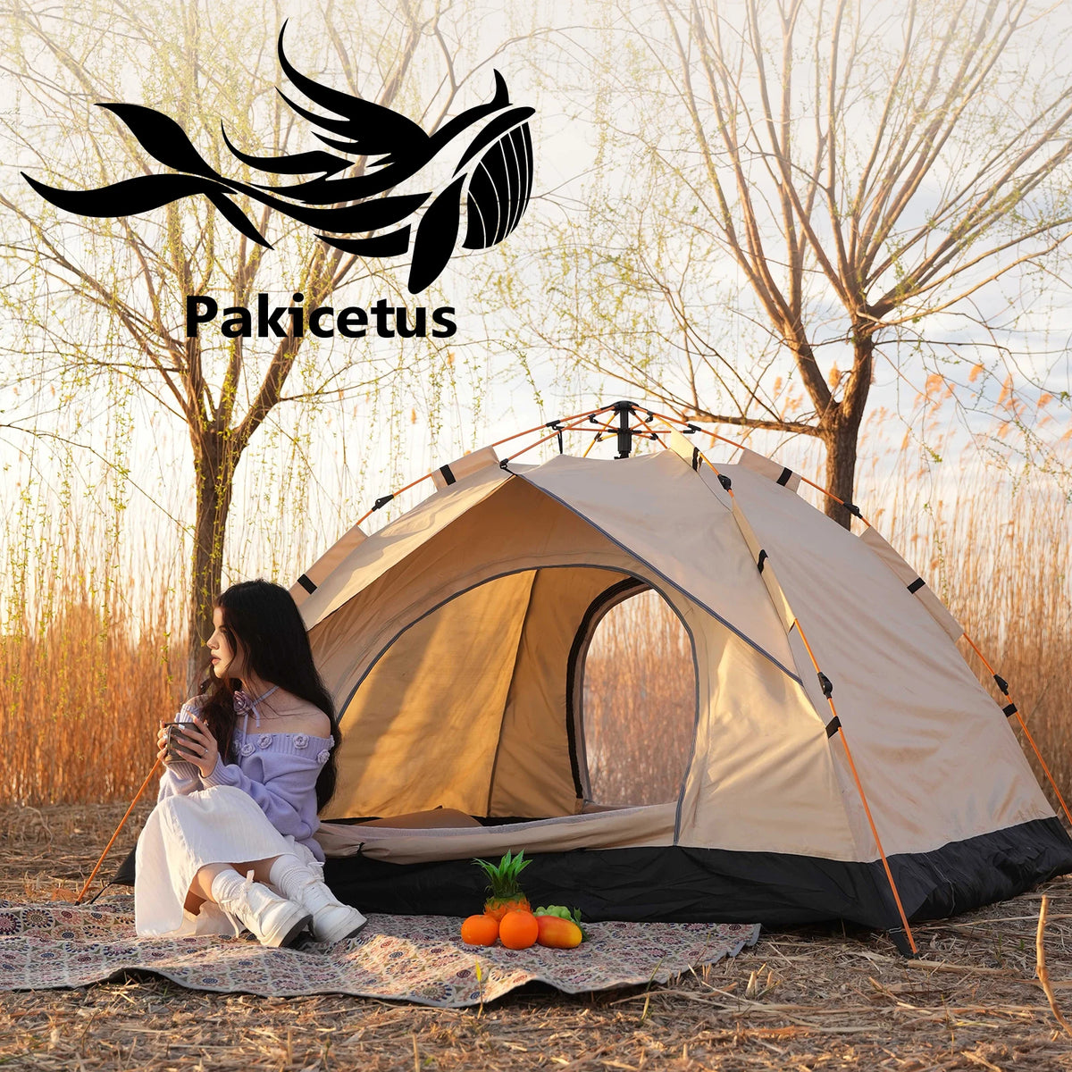 PAKICETUS Windproof Camping Tent for 2-4 Persons, Lightweight and Easy to Set Up, Ideal for Family Outdoor Adventures