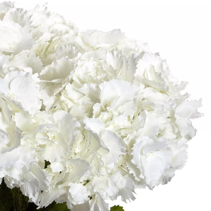 23" x 21" Artificial Hydrangea Floral Arrangement in Vase 